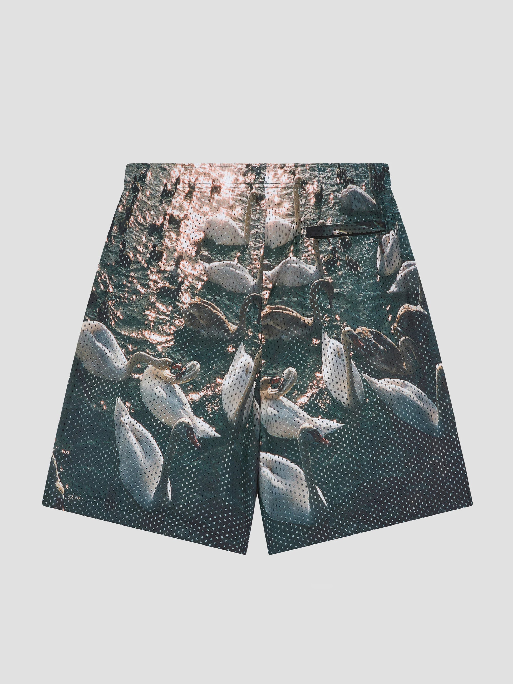 PACC18P008 ~ SWAN MESH SHORTS – PRINT