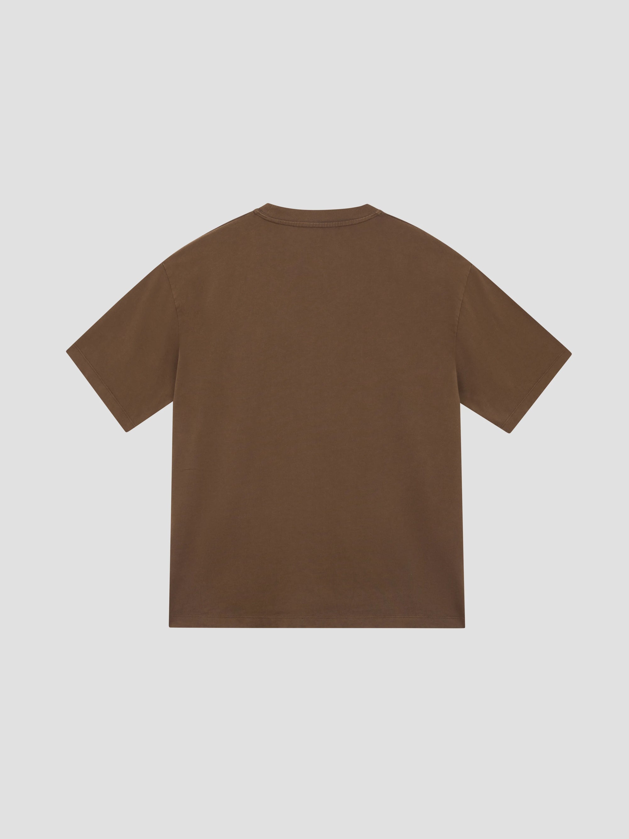 PACC17T005 ~ FRAGILE TEE - BROWN