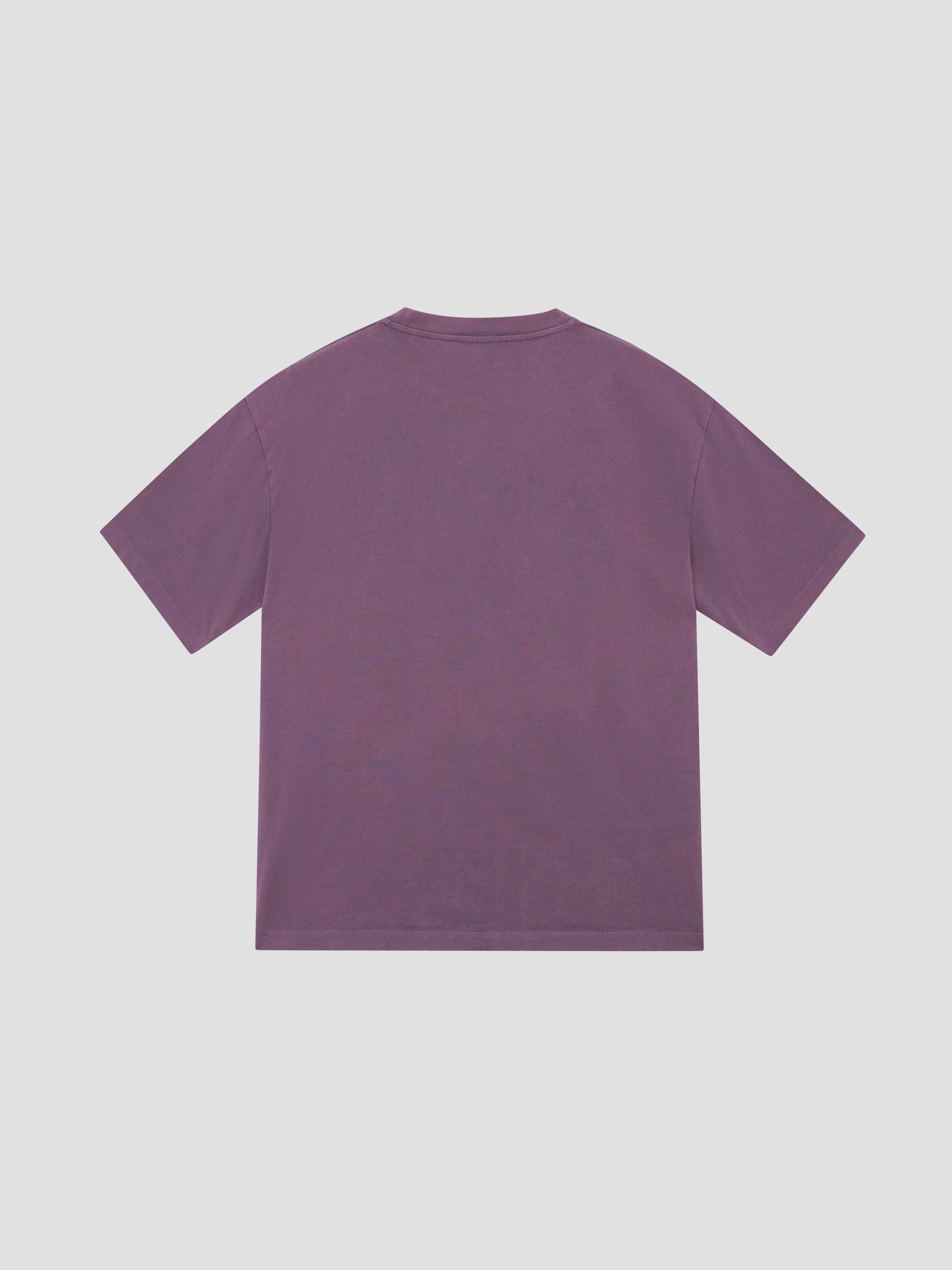 PACC17T006 ~ HORSES TEE - PURPLE