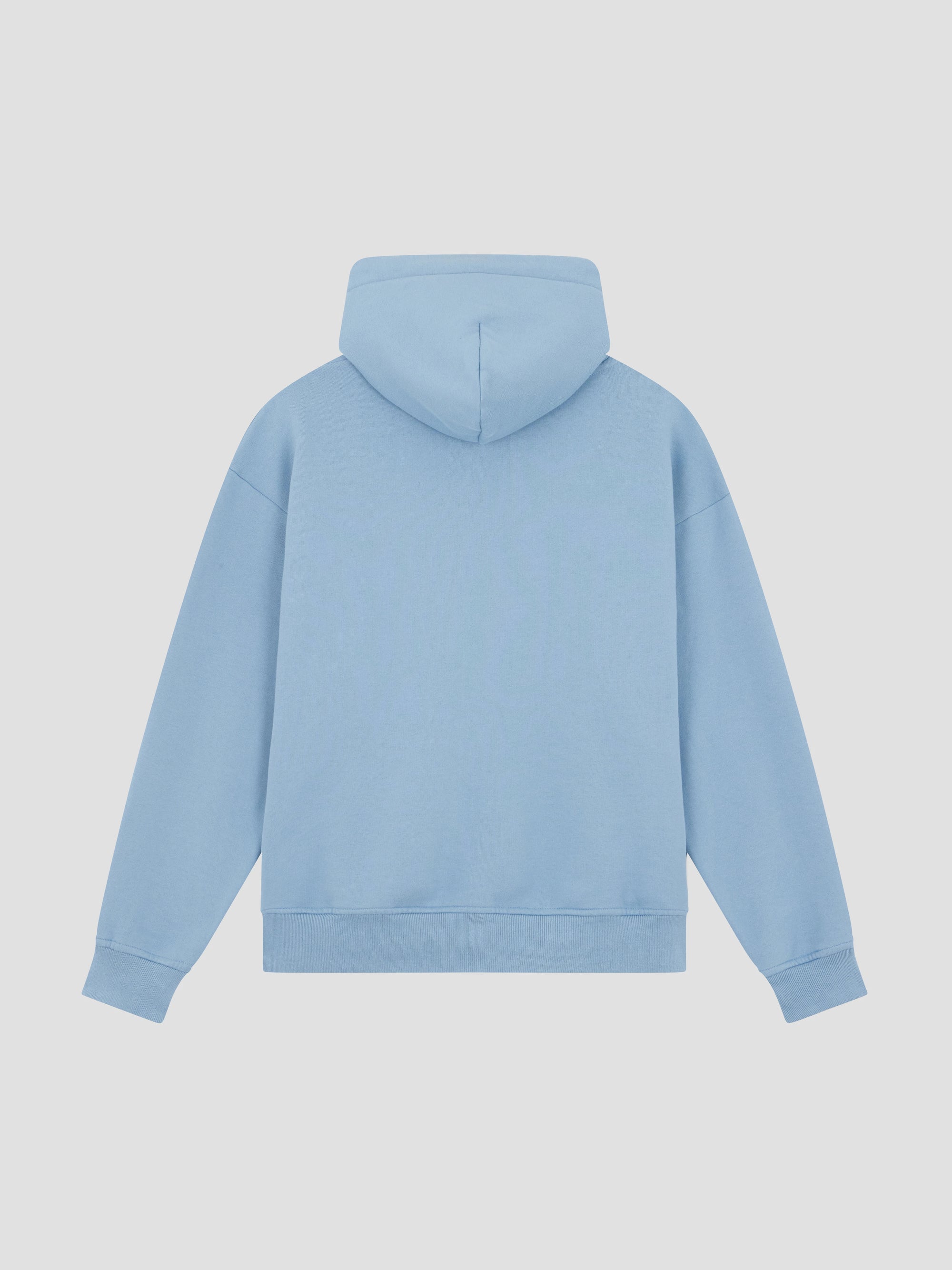 PACC18T021 ~ HERITAGE LOGO HOODIE -  LIGHT BLUE