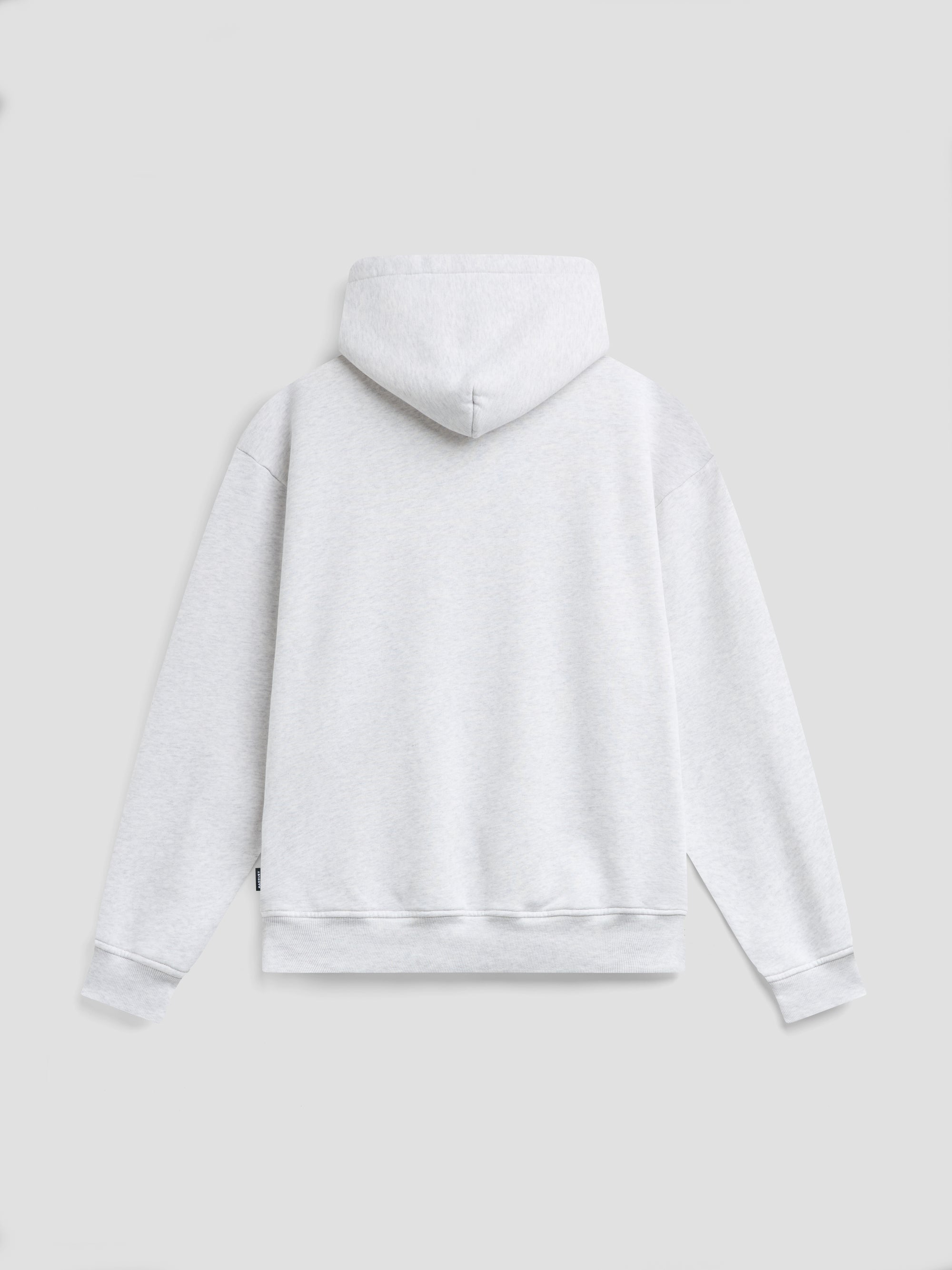 PACC19T023-1 ~ MEN JEWEL HOODIE ASH GREY